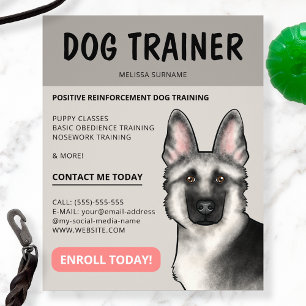 Zilveren Duitse Herdershondentrainer Huisdierenser Flyer