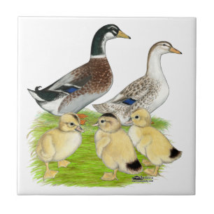 Zilveren Familie Appleyard Tegeltje