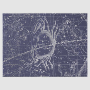 Zilveren Galaxy Star Map Series Design 10 Tissuepapier