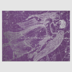 Zilveren Galaxy Star Map Series Design 11 Tissuepapier