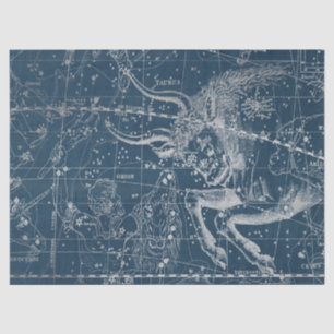 Zilveren Galaxy Star Map Series Design 9 Tissuepapier