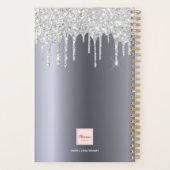 Zilveren glitterdruppels 2025 planner (Achterkant)