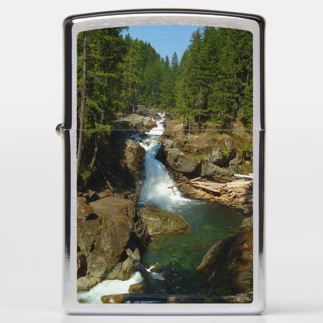 Zilveren Herfsten in het nationaal park Mount Rain (Voorkant)