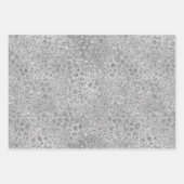 Zilveren Leopard Grijs Meow Kitty Kat Inpakpapier Vel (Voorkant)