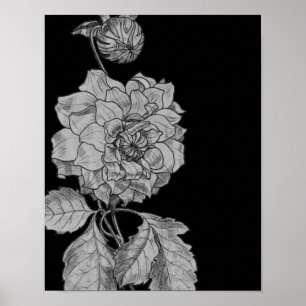 Zilveren pioenroos bloem op zwarte bloemenkunst poster