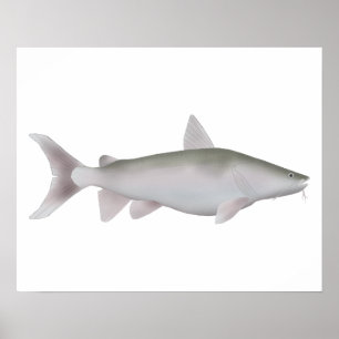 zilveren schoenmaker poster