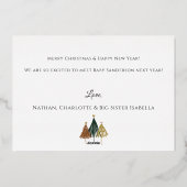 Zilverfolie Zwangerschaps Aankondiging Kerstmis Ka (Achterkant)