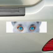 Zilverfox blauwe ogen klassiek bumpersticker (Op auto)