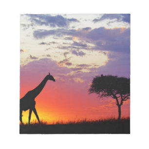 Zilvergrijze giraffe bij zonsopgang, Giraffa Notitieblok