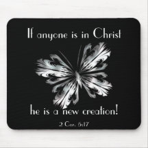 Zilvergrijze vlinder