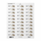 Zilverkleurige Perzisch Etiket (Full Sheet)