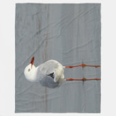 ZILVERMEEUW FLEECE DEKEN (Voorkant)