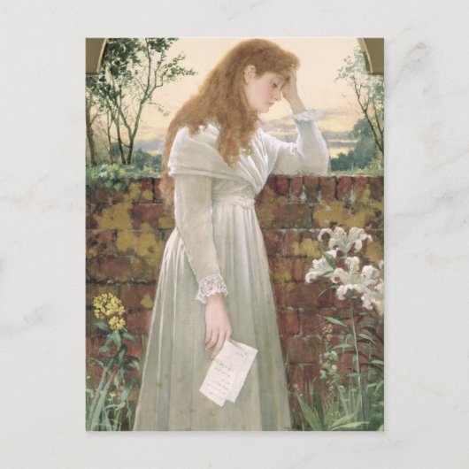 Zilversorroe (m/v op papier) briefkaart (Voorkant)