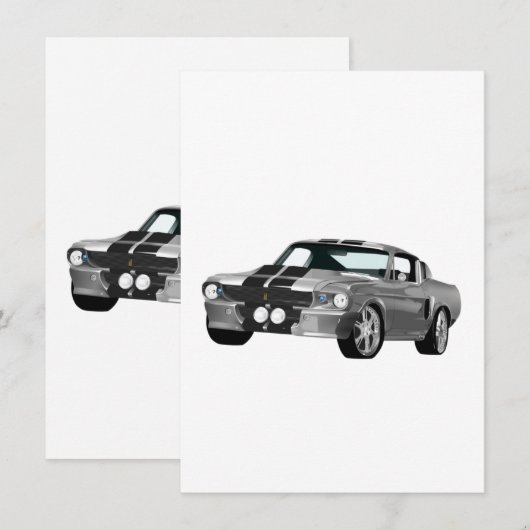 Zilverspieren (Voorkant / Achterkant)