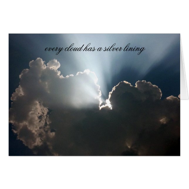 zilvervoering (Voorkant Horizontaal)