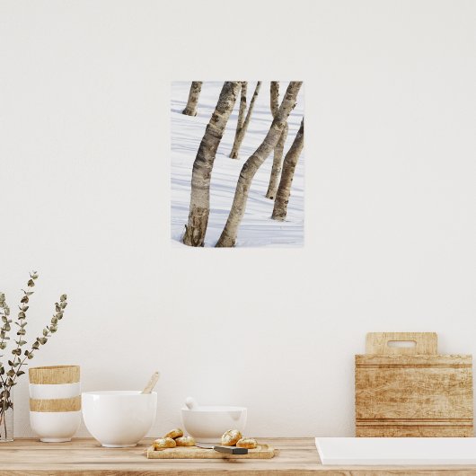 Zilvervogels bomen in sneeuwlandschap poster (Keuken)