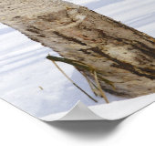 Zilvervogels bomen in sneeuwlandschap poster (Hoek)