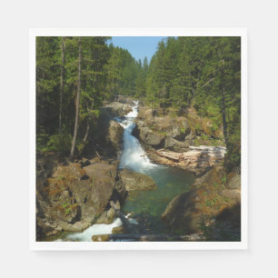 Zilverwaterval in Mount Rainier National Park Servet