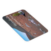 Zilverwoord, Zandduinen, Haleakalā National Park Magneet (Rechterzijde)