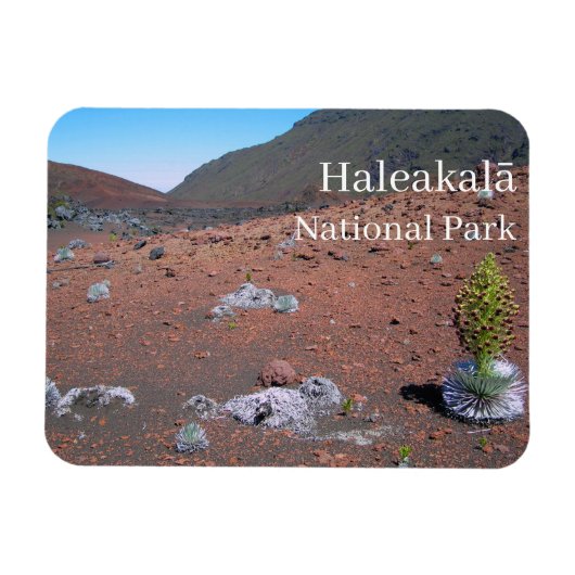 Zilverwoord, Zandduinen, Haleakalā National Park Magneet (Horizontaal)