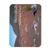 Zilverwoord, Zandduinen, Haleakalā National Park Magneet (Verticaal)