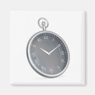 Zilverzakhorloge Magneet