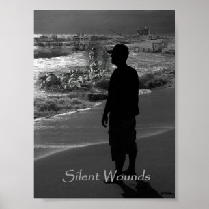 Zilzame wonden poster