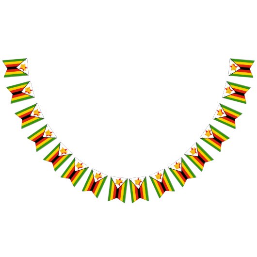 Zimbabwaanse vlag en partij Zimbabwe banners/bruil Vlaggetjes (Alle)