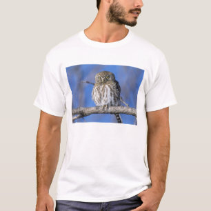 Zimbabwe. Close-up van parelgevlekte uil T-shirt