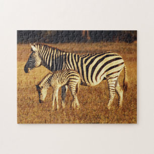 Zimbabwe, Hwange National Park, Linkwasha Legpuzzel