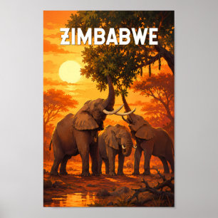 Zimbabwe Illustratie Reis Kunst Vintage Poster