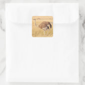 Zimbabwe Ostrich Safari sur Stickers Display (Sac)