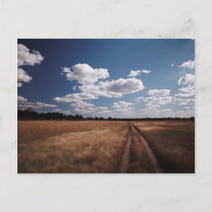 Zimbabwe, View of road near Linkwasha Airstrip 2 Briefkaart