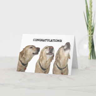 Zing je geluiden kaart