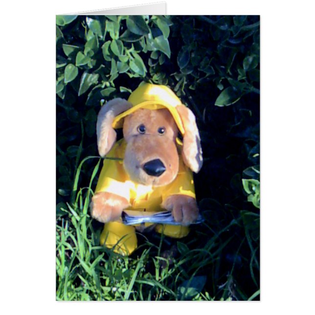 Zingen in de regen (Voorkant)