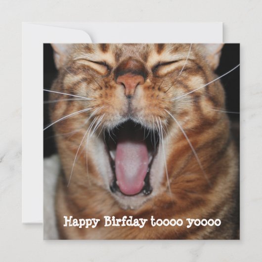 Zingend Bengaal Cat "Happy Birfday.." Birthday-kaa Feestdagenkaart (Voorkant)