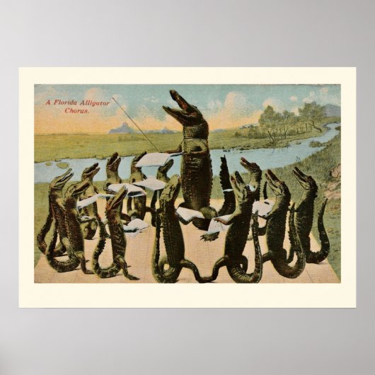 Zingende Alligators Print (Voorkant)