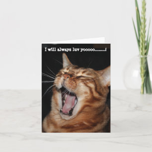 Zingende Bengaalse kat "Ik zal altijd van jou houw Feestdagen Kaart
