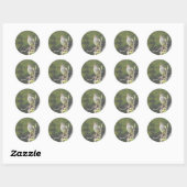 Zingende Bird Ronde Sticker (Vel)