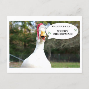 Zingende Duck Holiday Card Feestdagenkaart
