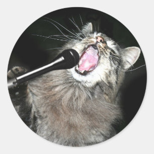 Zingende kat ronde sticker