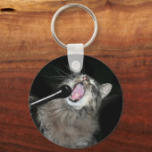 Zingende kat sleutelhanger (Voorkant)