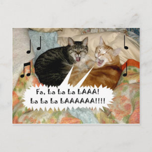 Zingende katten briefkaart