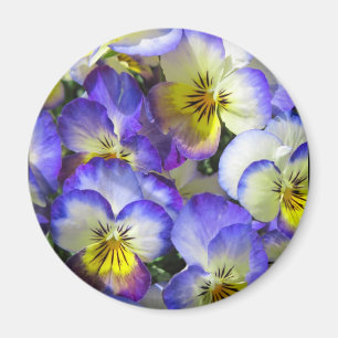 Zingende Pansies - Magnet Magneet