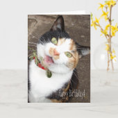 Zingende tabby, Gelukkige Verjaardag! Kaart (Gele Bloem)