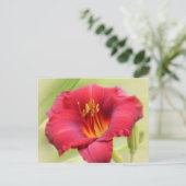 Zinger Daylily Briefkaart (Staand voorkant)
