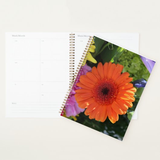 Zinnia (Devant avec enveloppe)