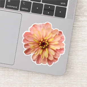 Zinnia Bloem Bloem Natuur Fotografie Sticker