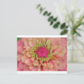 zinnia briefkaart (Staand voorkant)
