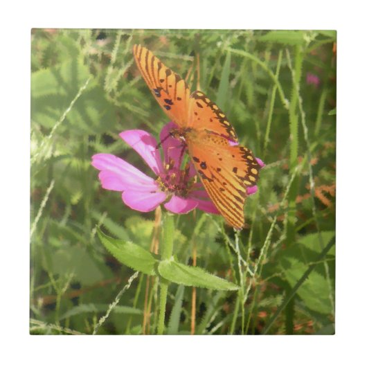 Zinnia & Butterfly Tegel Tegeltje (Voorkant)